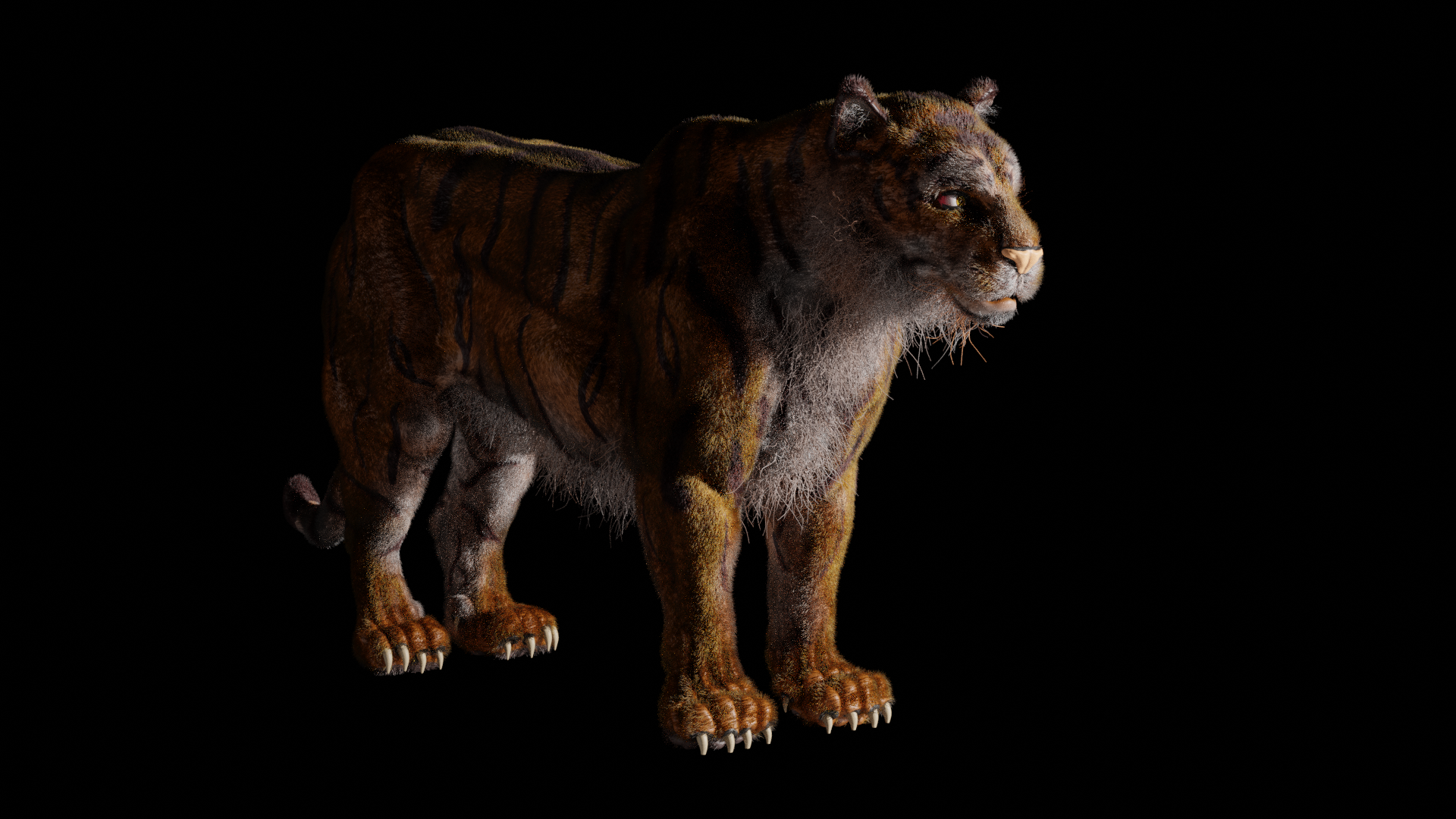 tigre in 3d con grooming in blender